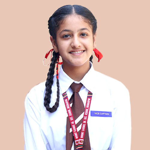 Blue House Captain